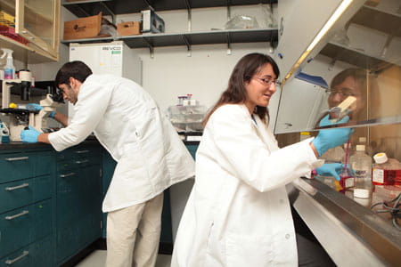 Amir Rezayat and Stephanie Kortyka, students in Dr. Clancy’s laboratory.